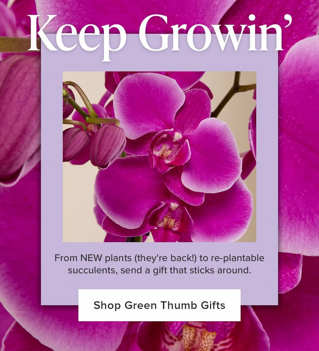 Keep Growin' From NEW plants (they're back!) to re-plantable succulents, send a gift that sticks around. Shop Green Thumb Gifts. 