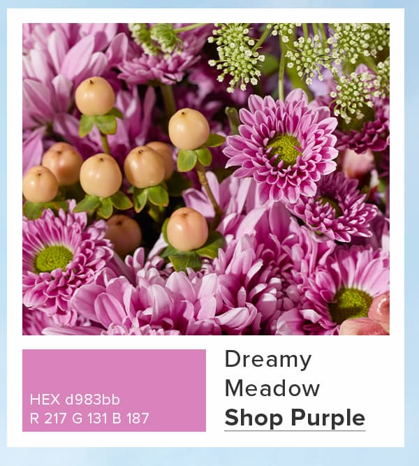 Shop Purple