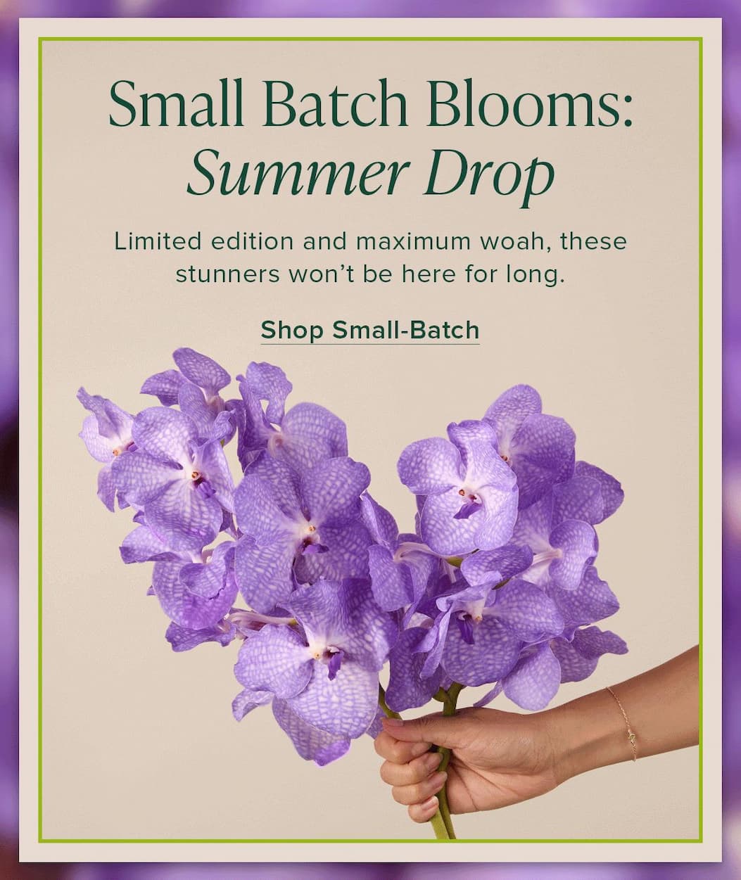 Small Batch Blooms: Summer Drop. Limited edition and maximum woah, these stunners won't be here for long. Shop Small-Batch