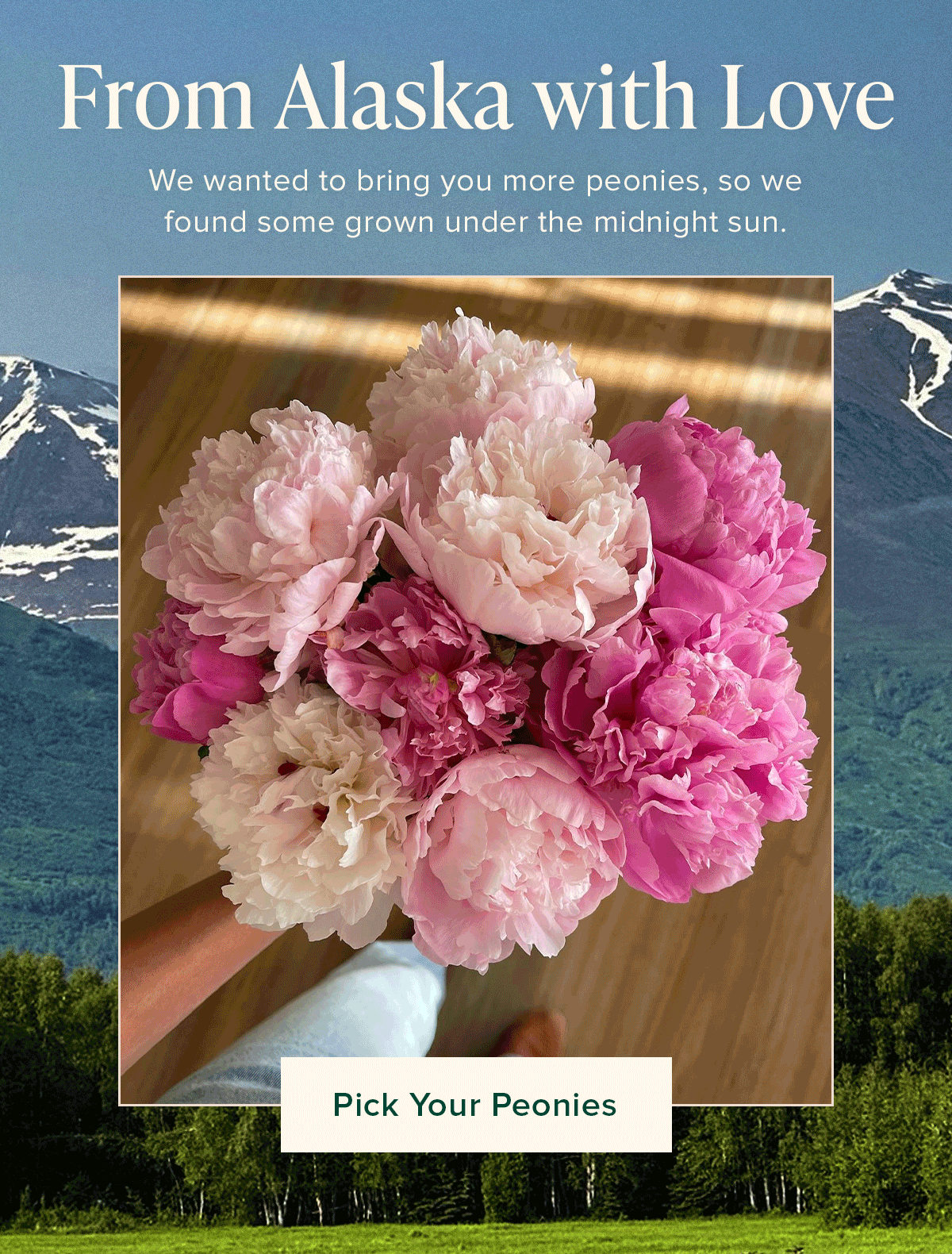From Alaska with Love. We wanted to bring you more peonies, so we found some grown under the midnight sun. Pick Your Peonies