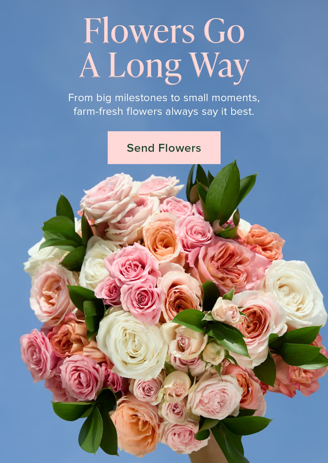 Flowers Go A Long Way: From big milestones to small moments, farm-fresh flowers always say it best. Send Flowers