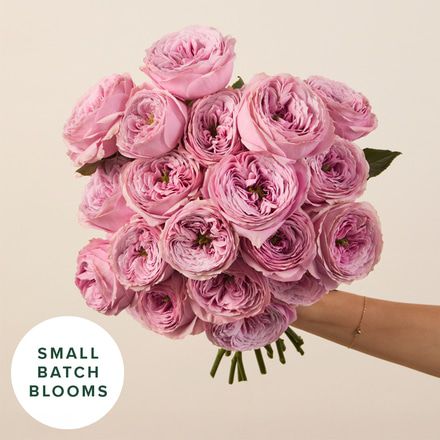 Peony Kiss Garden Roses Bouq