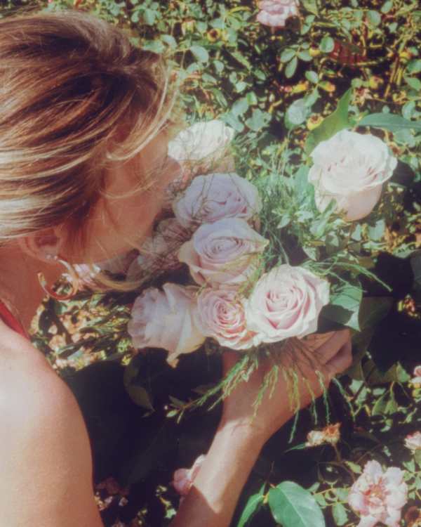 Roses from the Summer Rose shoot
