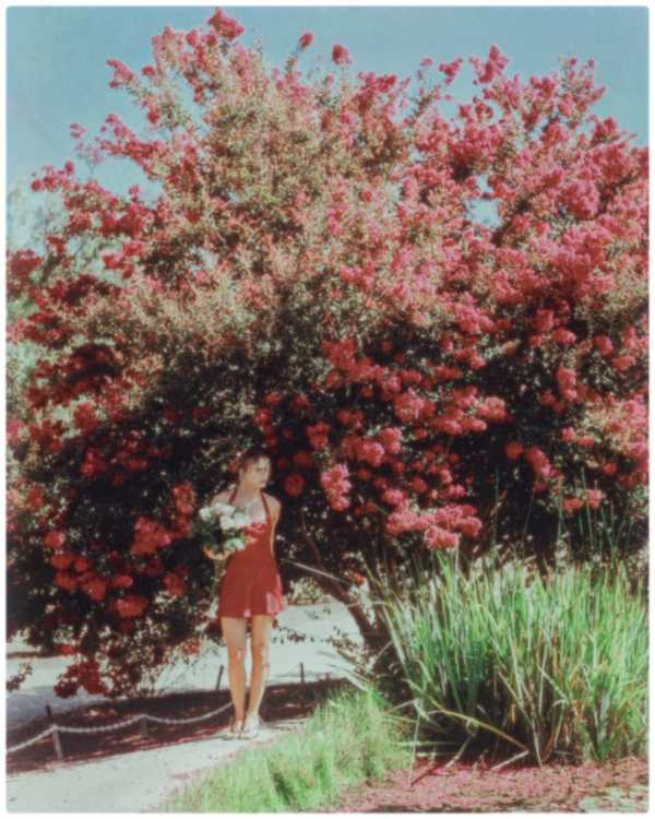Summer Mckeen under the crepe myrtle, Temecula