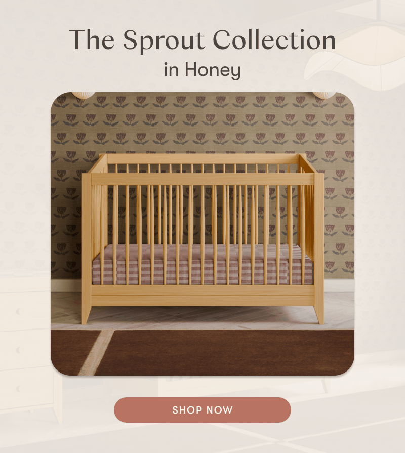 The Sprout Collection In Honey | Shop Now
