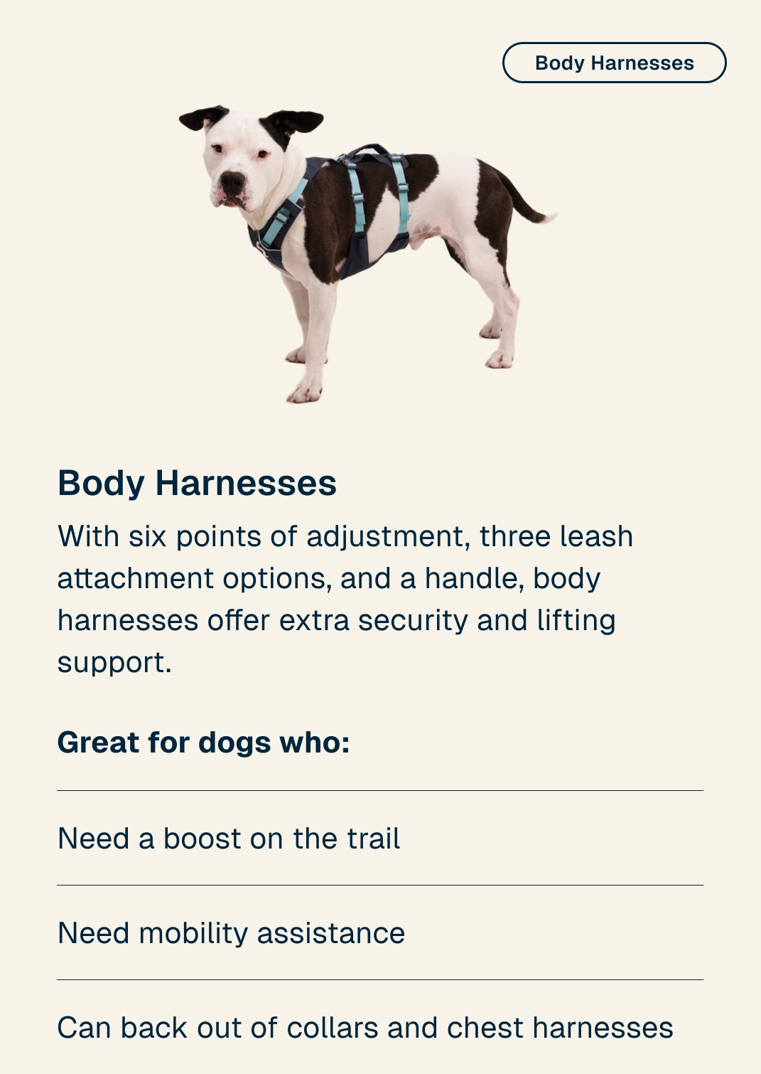Body Harnesses: With six points of adjustment, three leash attachment options, and a handle, body harnesses offer extra security and lifting support."