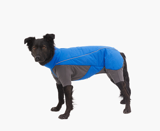 The Vert™ Coverall in Blue Pool