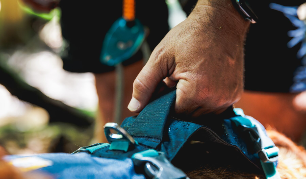 Hand grasping the handle of a body harness
