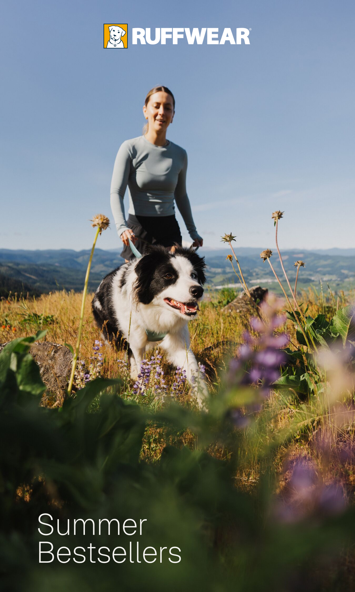dog and human roaming mountain view flowing fields together