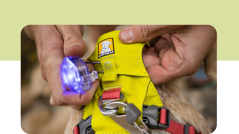A human clips a Beacon onto a Hi & Light Harness