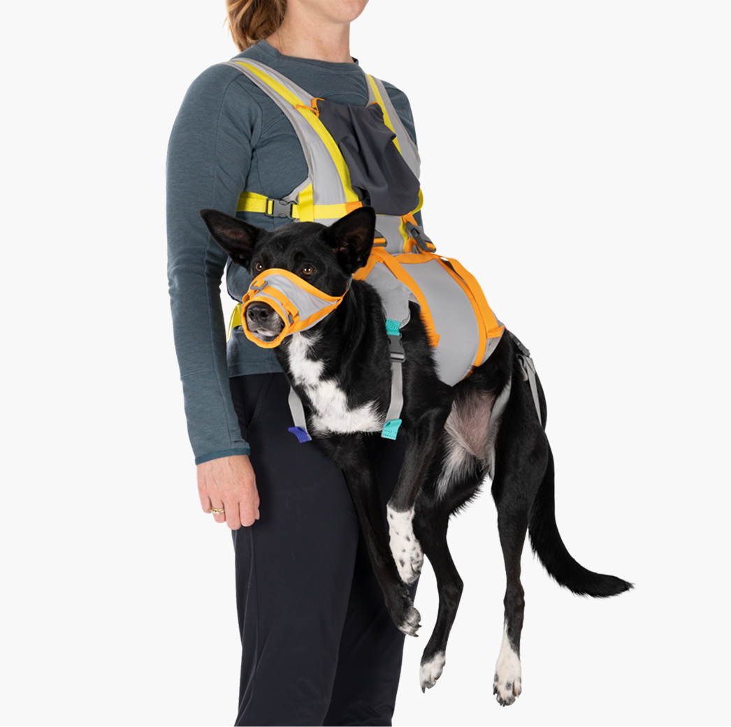 BackTrak™ Dog Evacuation Kit