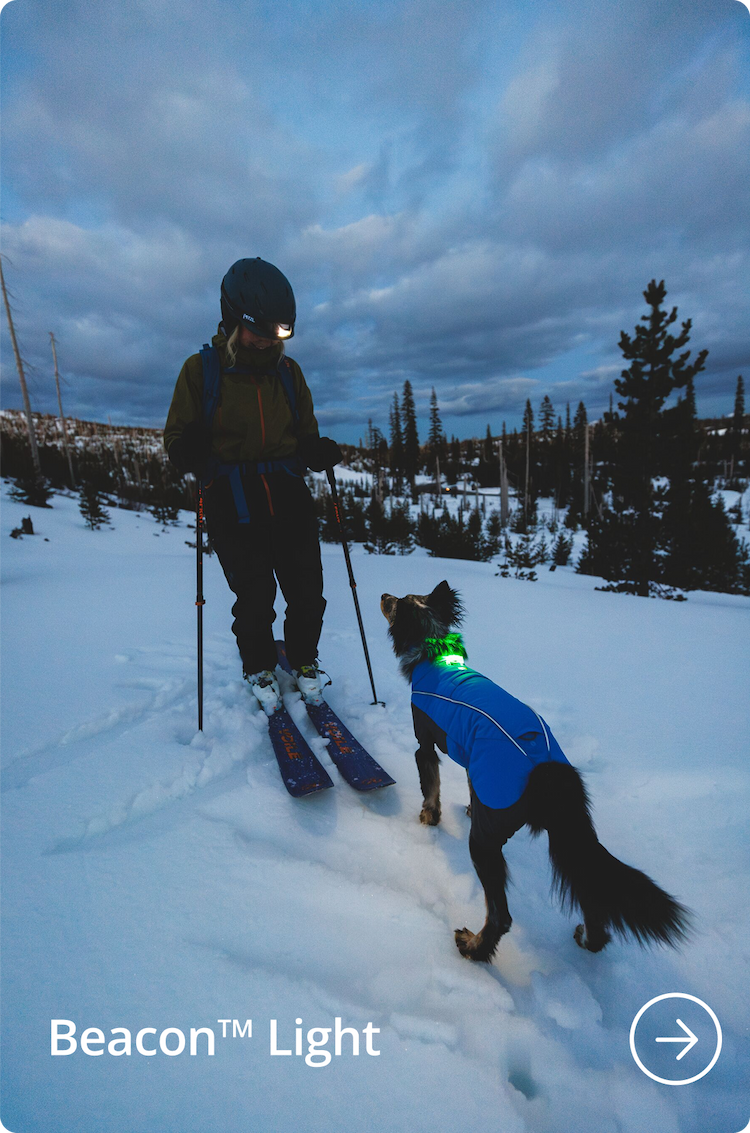 Lennon wears a Beacon in the snow.