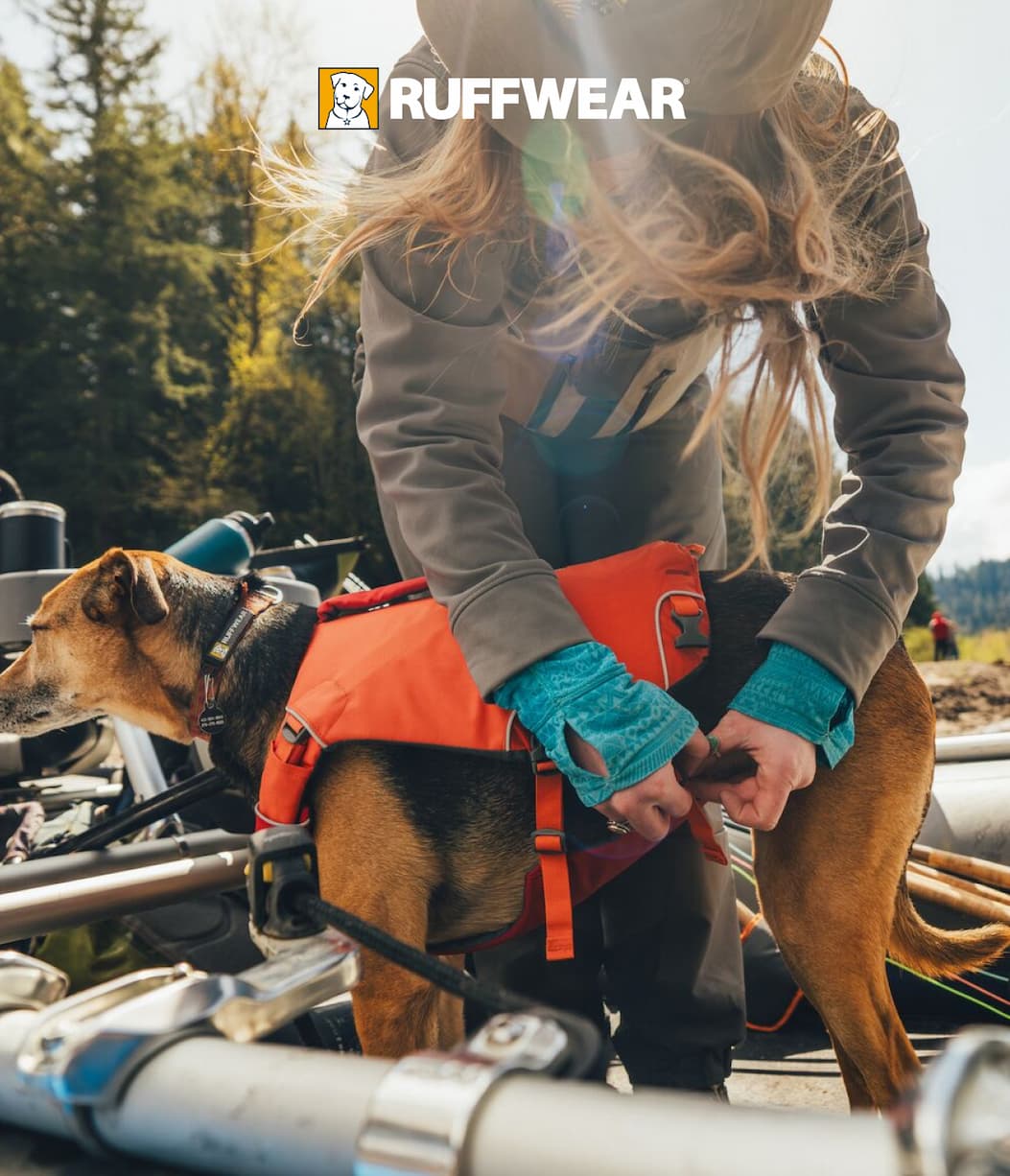 A human helps clip a dog into the Confluence Life Jacket