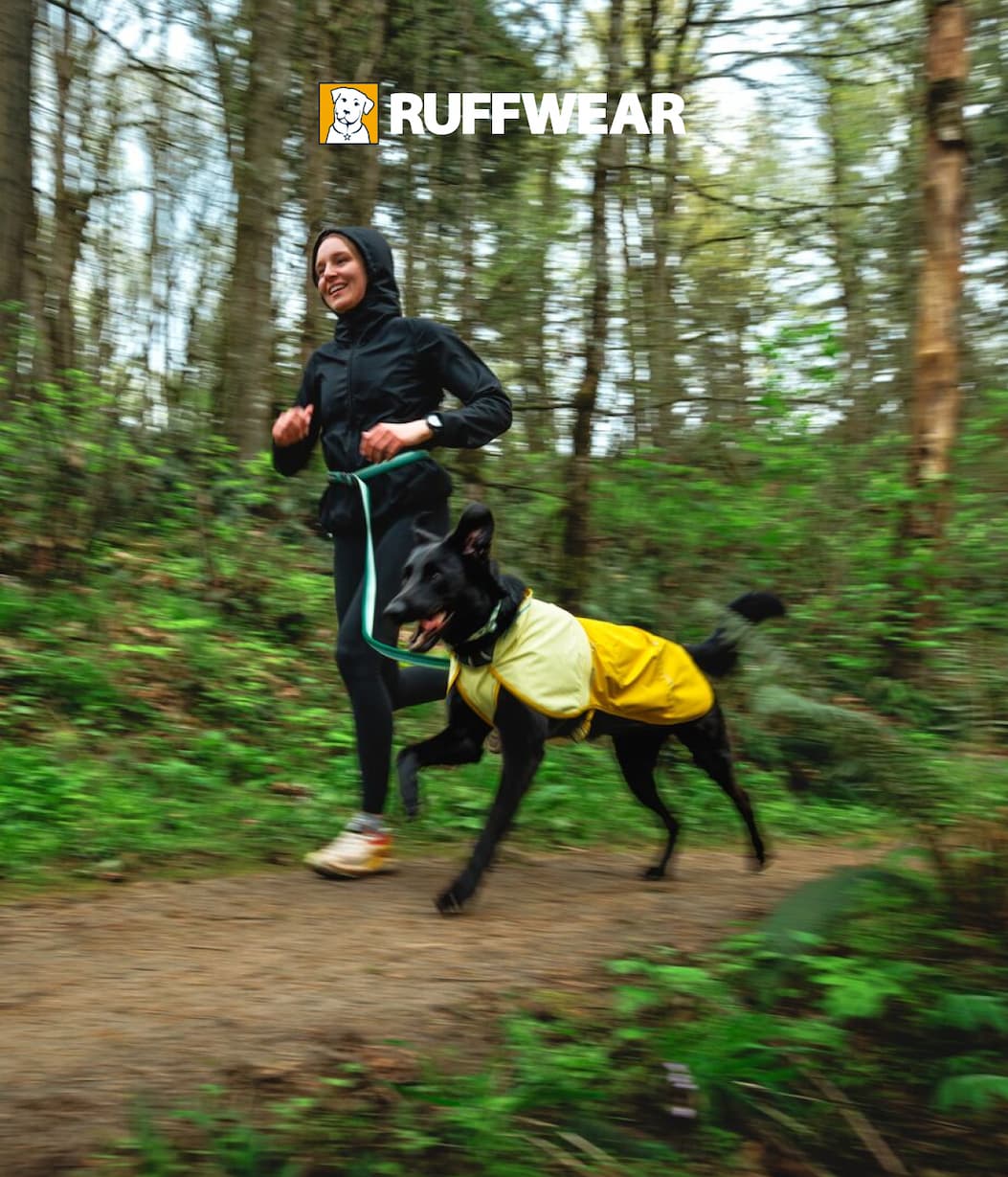 A human and dog run together.