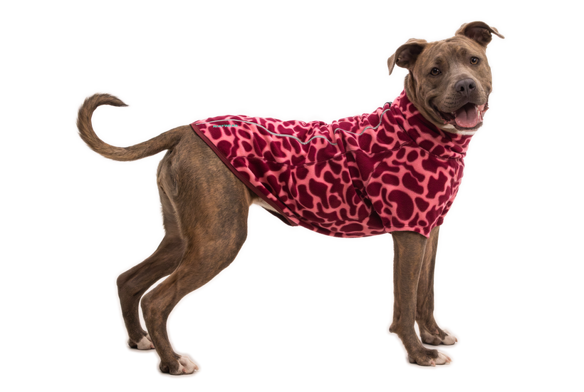 Climate Changer™ Fleece Jacket in Berry Lava