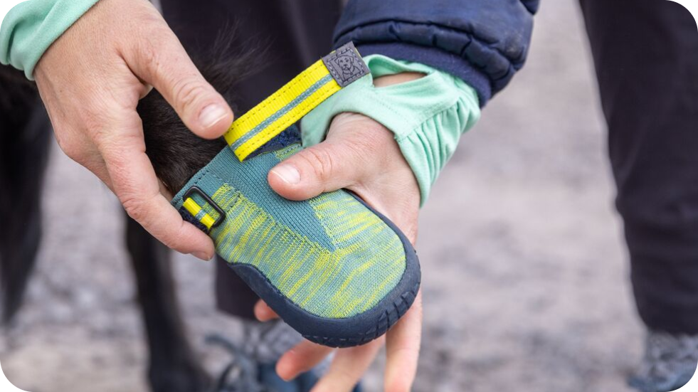 A shot of the handle on top of the Flagline Harness