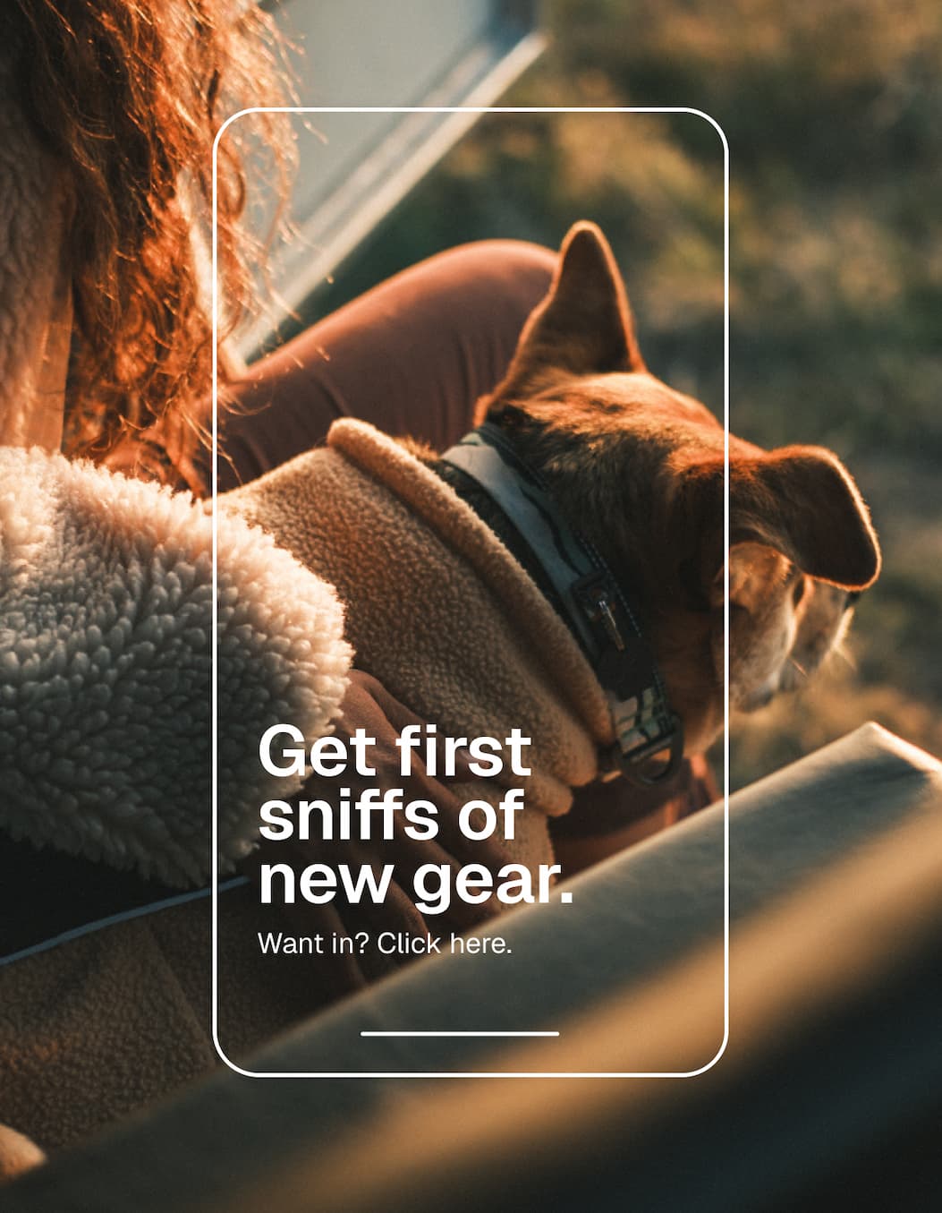 Words read: GET FIRST SNIFFS OF NEW GEAR. Want in? Click here.