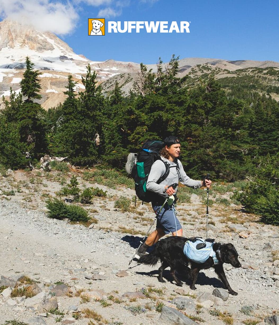 A human and dog duo hike in the mountains.