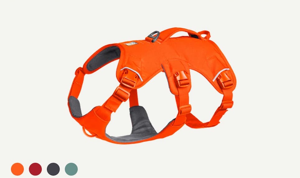 Web Master™ Dog Harness with Handle in Blaze Orange
