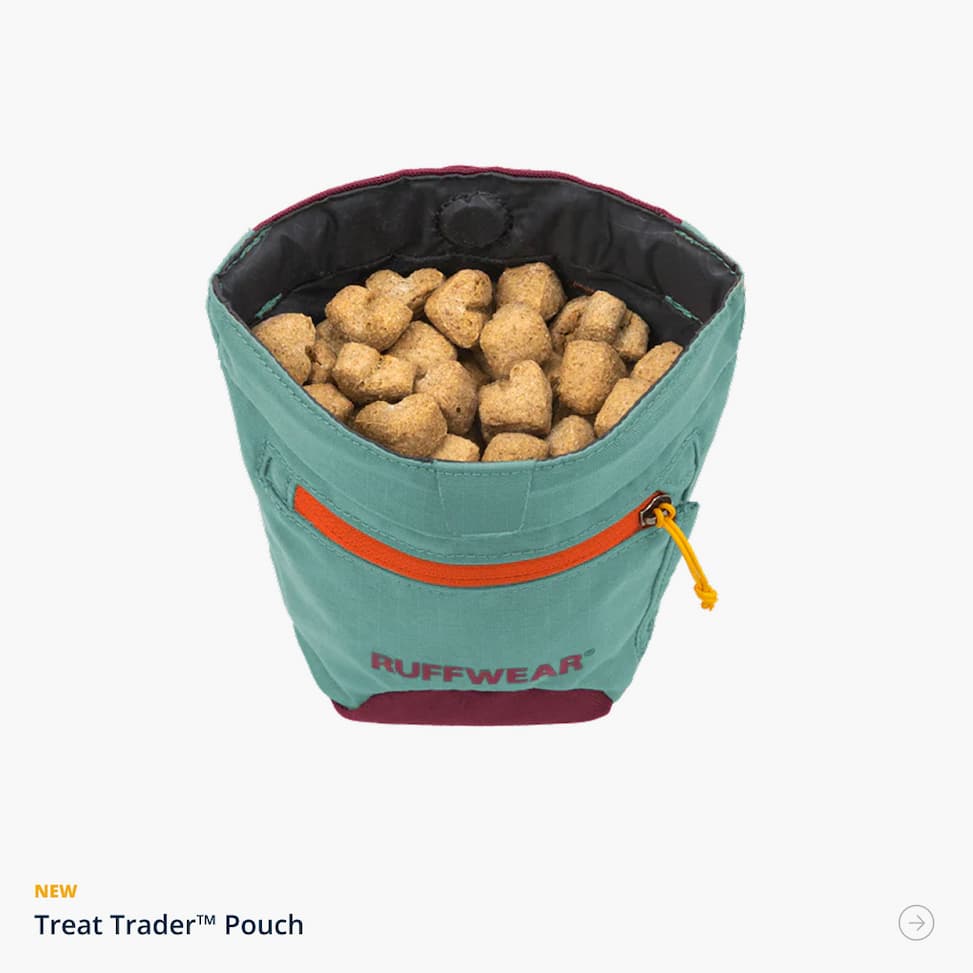 The Treat Trader™ Dog Treat Pouch in River Rock Green