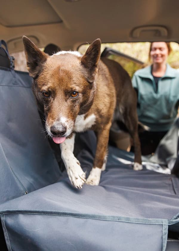 A dog jumps up into the car seat on to a Dirtbag™&nbsp;Seat Cover
