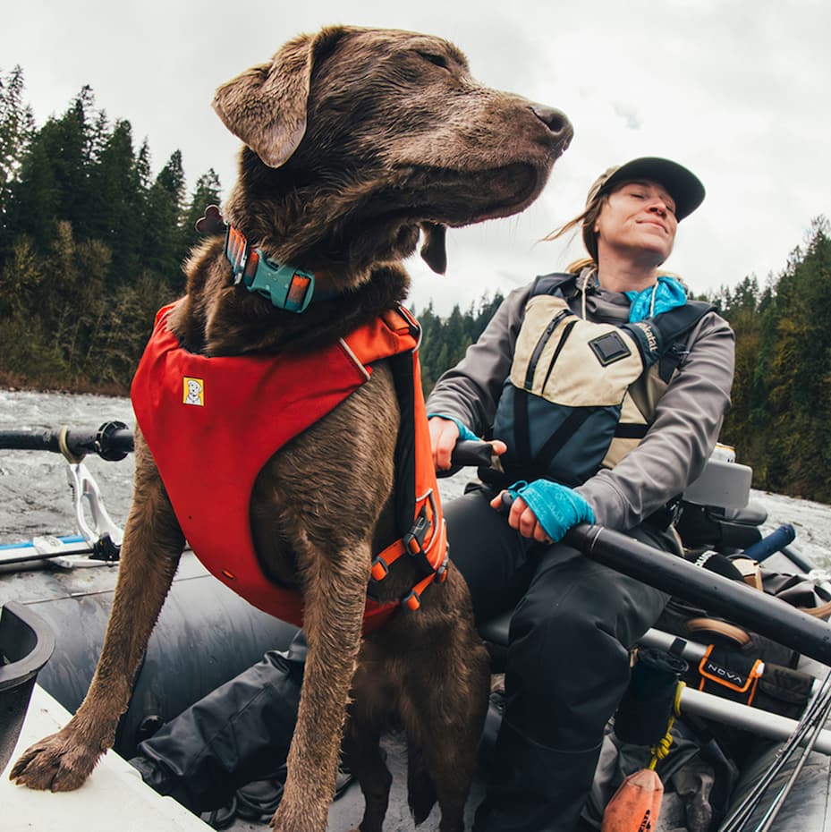 A dog leads the way in a raft on the river.
