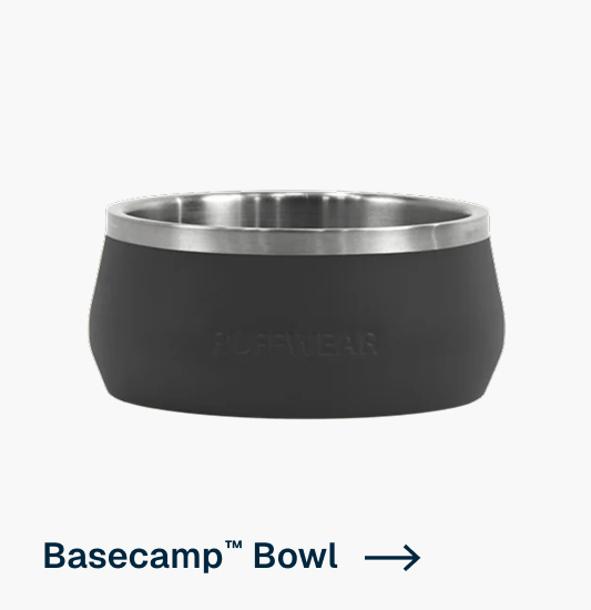 Basecamp™ Dog Bowl in Basalt Gray