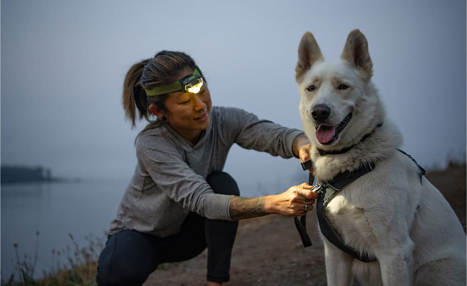 A human helps clip a leash on to their smiley dog.