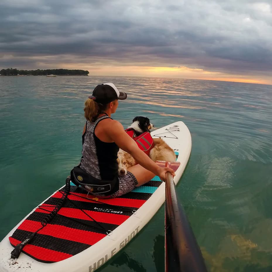 A human and dog look out at the sunset together