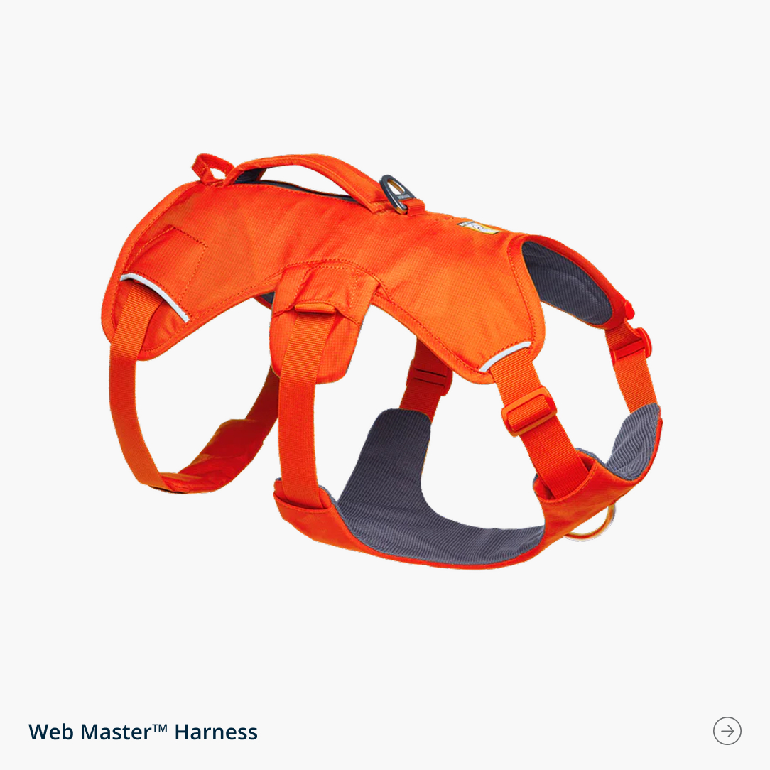 The Blaze Orange Web Master Harness