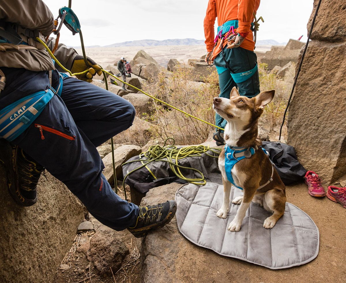 A dog sits on a Highlands™ Sleeping Pad at the crag.