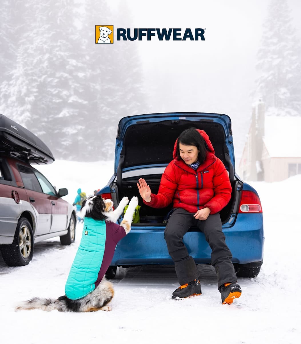 A human and dog high five each other in the snow