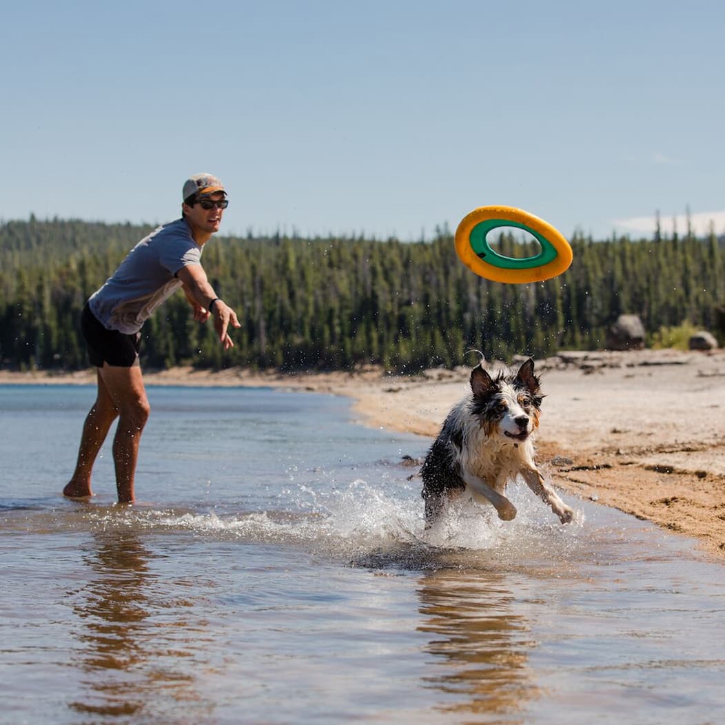 A human throws the Hydro Plane frisbee in the water for their doggo.
