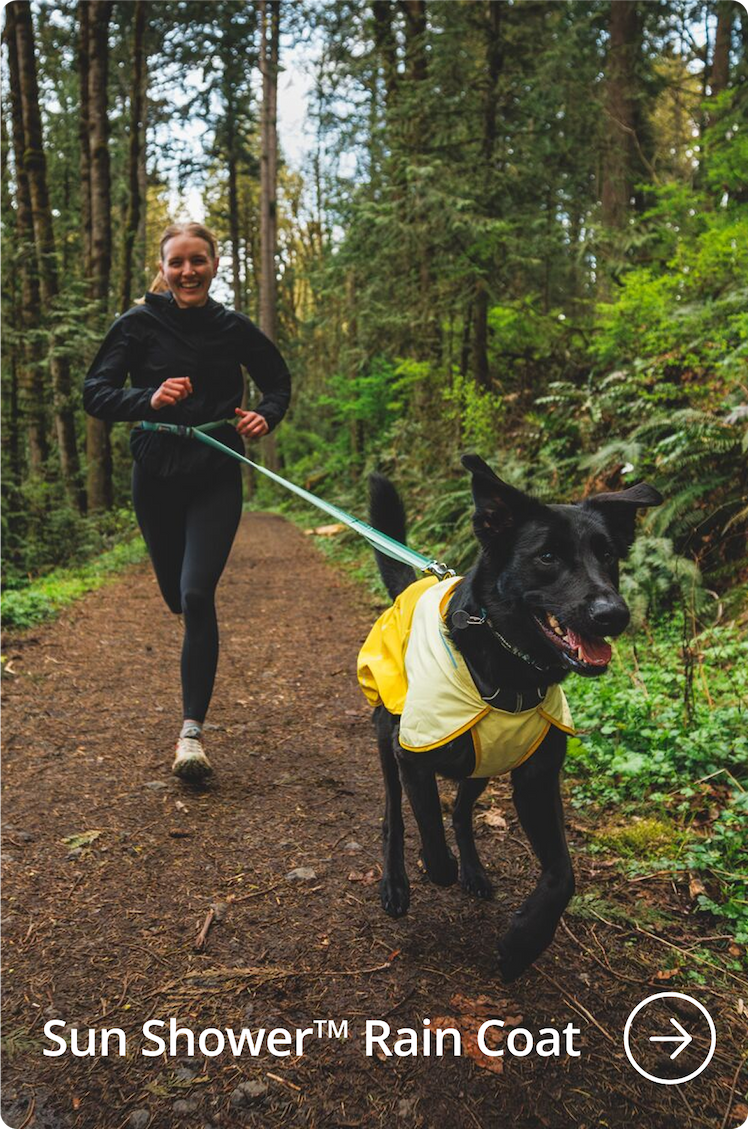 A dog wears a Mineral Yellow Sun Shower™ in the rain