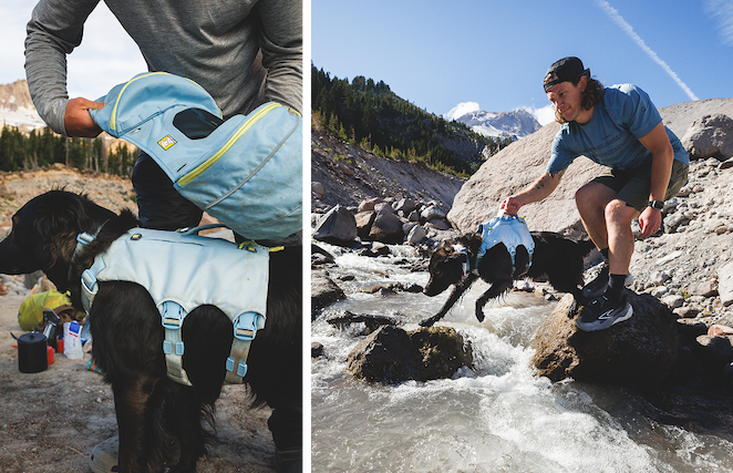 The Palisades™ Pack on a dog, and a human helping a dog over a river cross using the pack's handle.