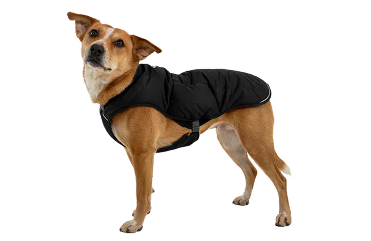 Quinzee™ Insulated Vest in Obsidian Black