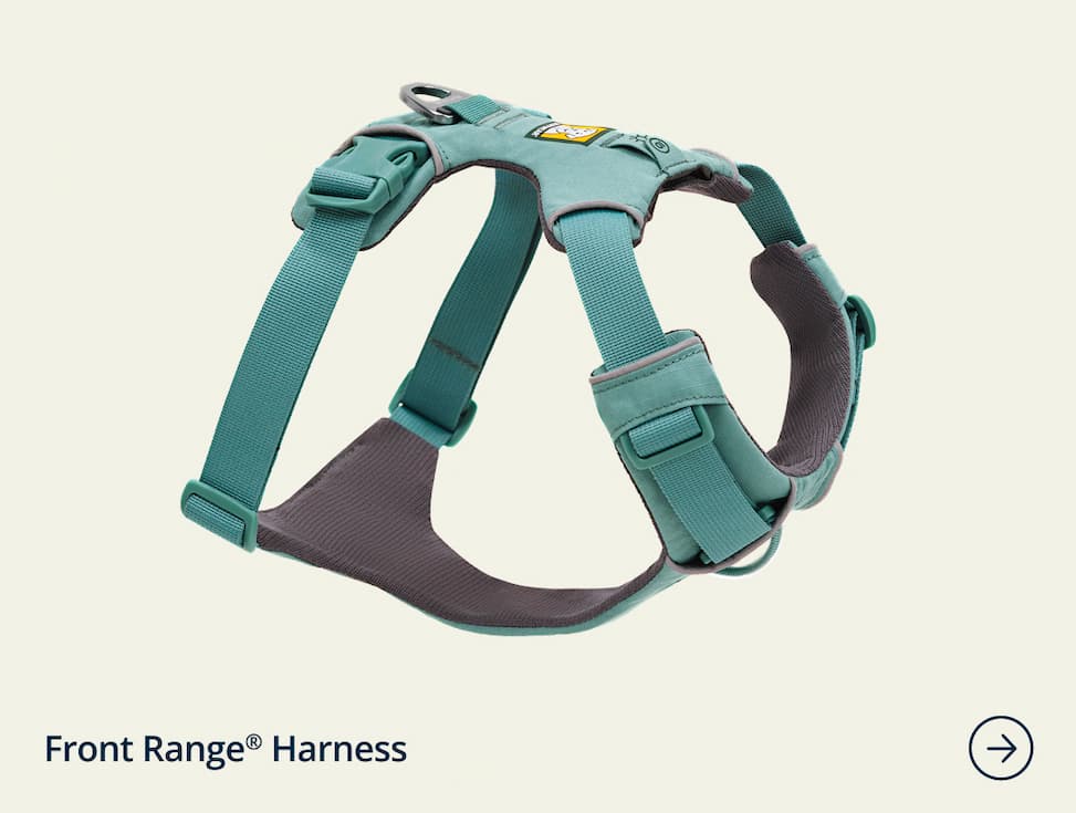 The Front Range™ Harness in River Rock Green
