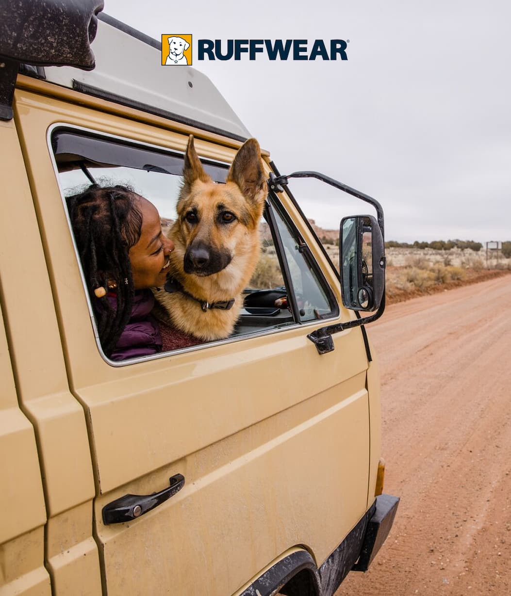 A human and dog peek out an RV window together.