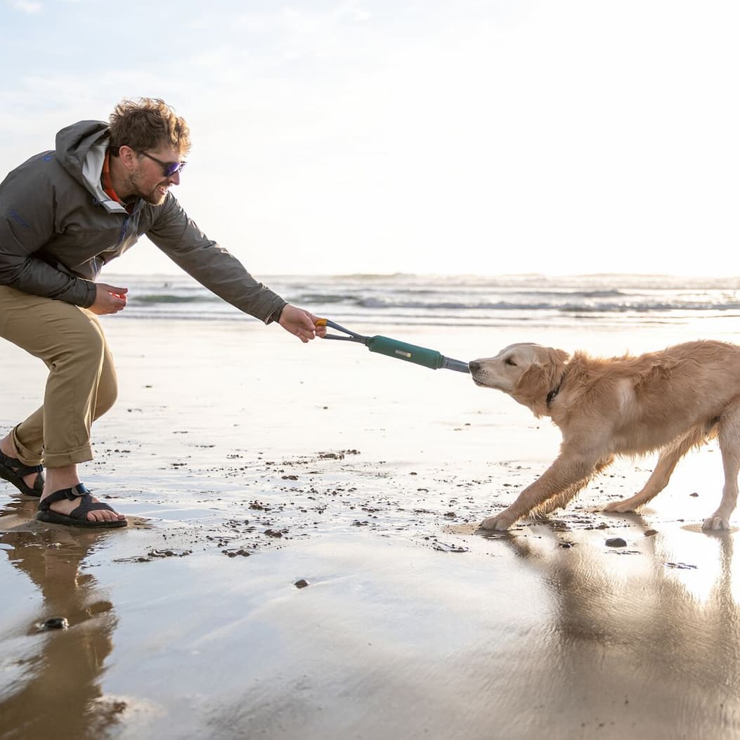 A human and dog duo play with a Pacific Loop toy on the beach.