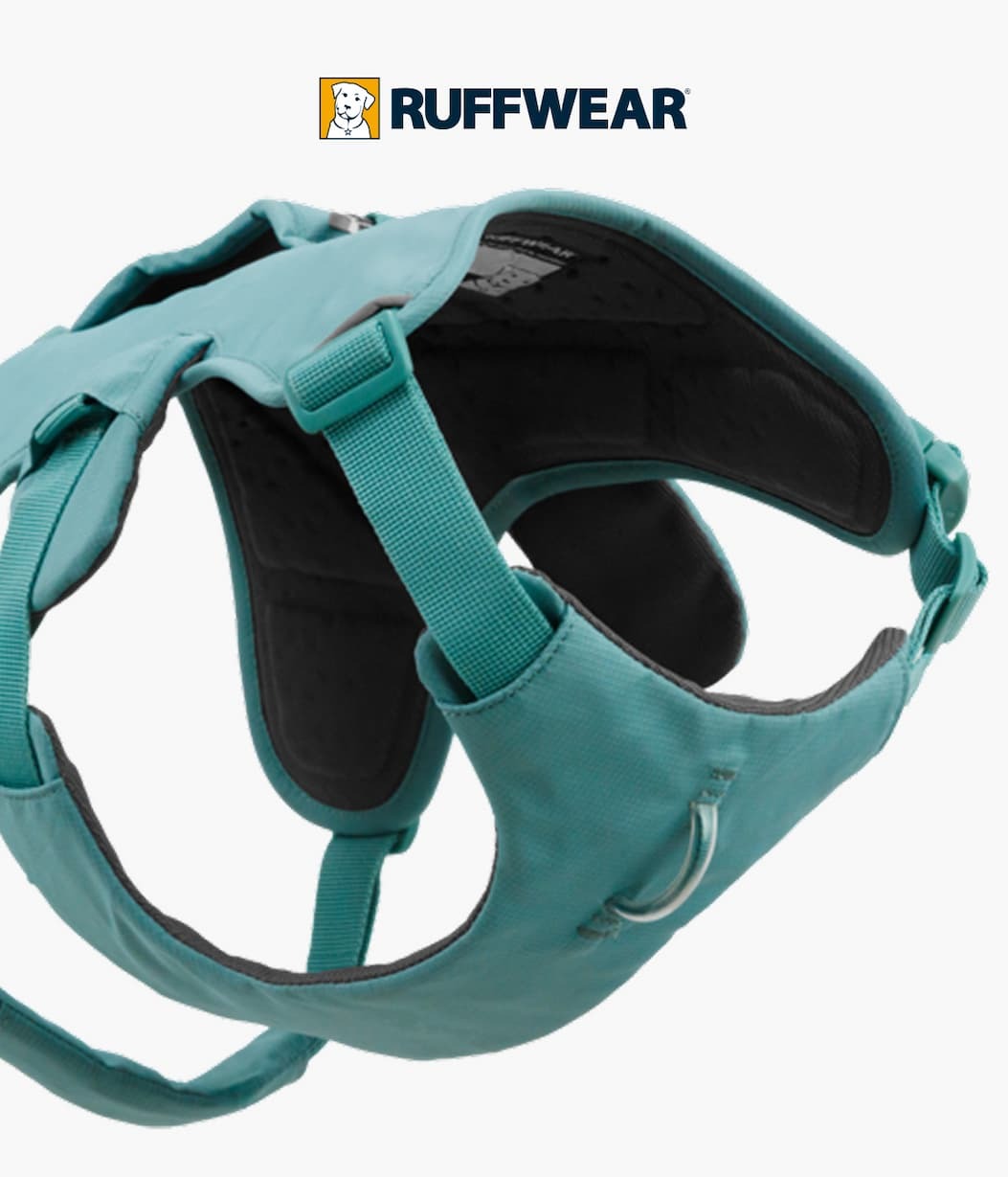A green Web Master Harness.