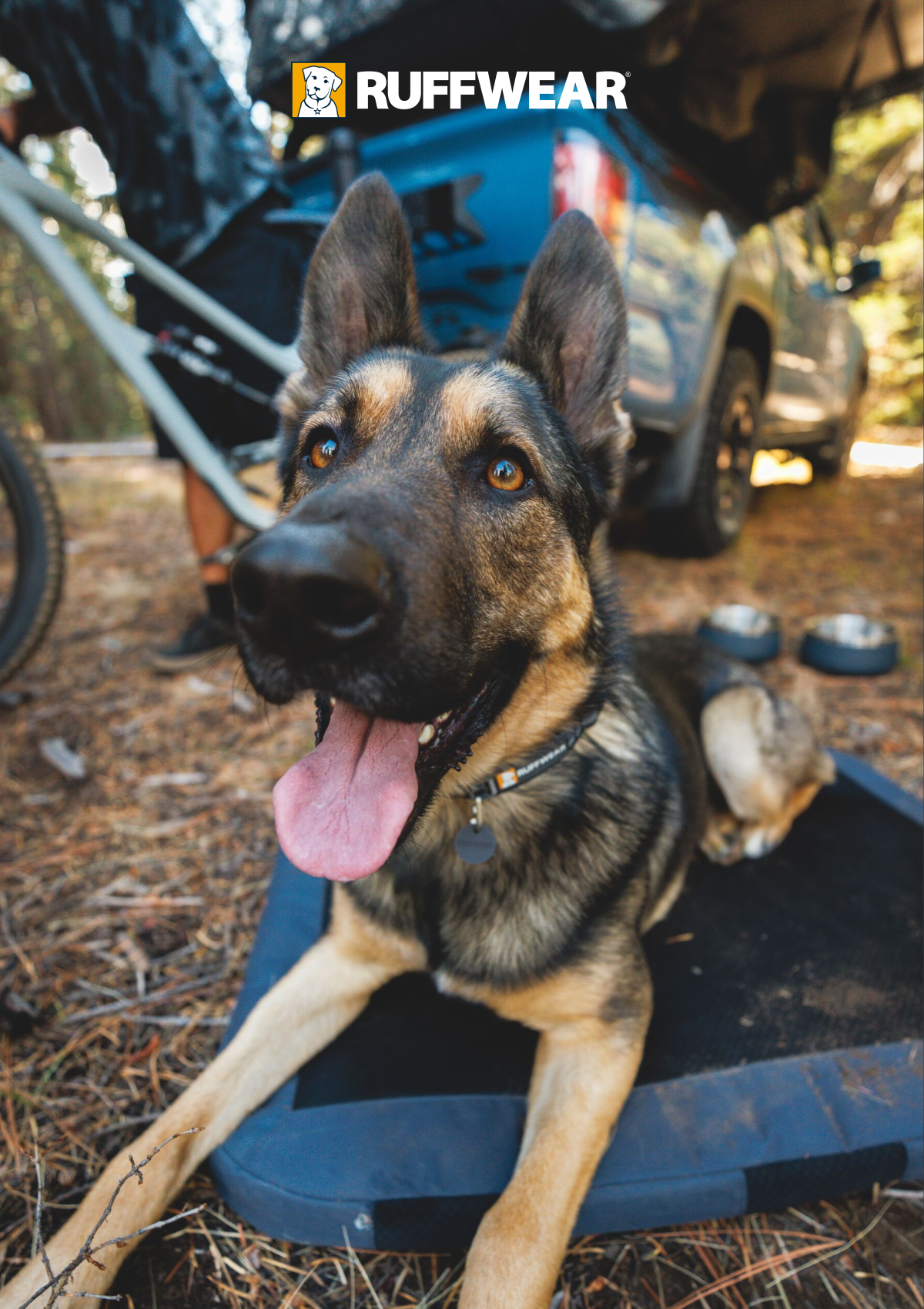 A dog laying down ont he Dirt Bag Bed outside in the pine needle dirt