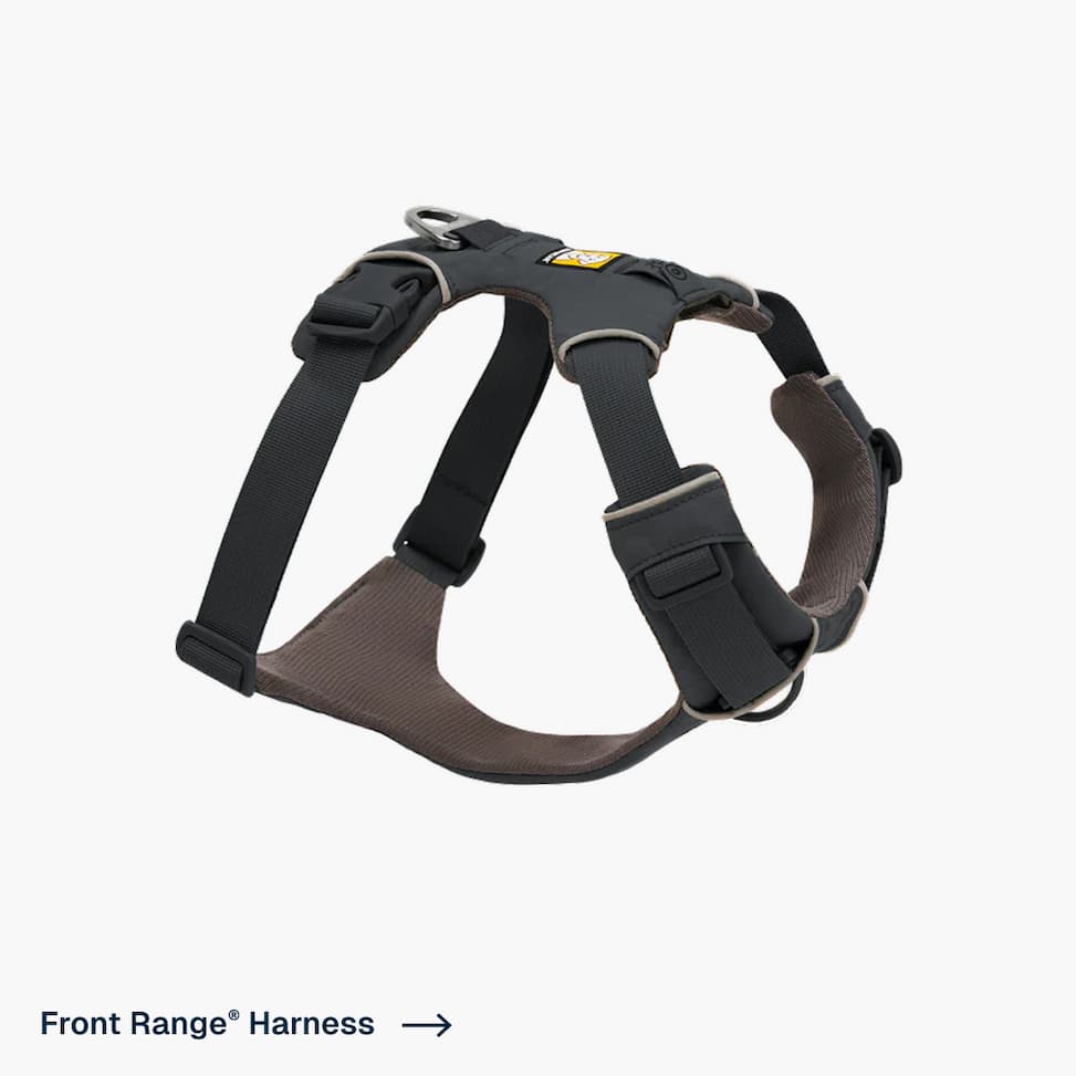 Front Range Harness in Basalt Grat