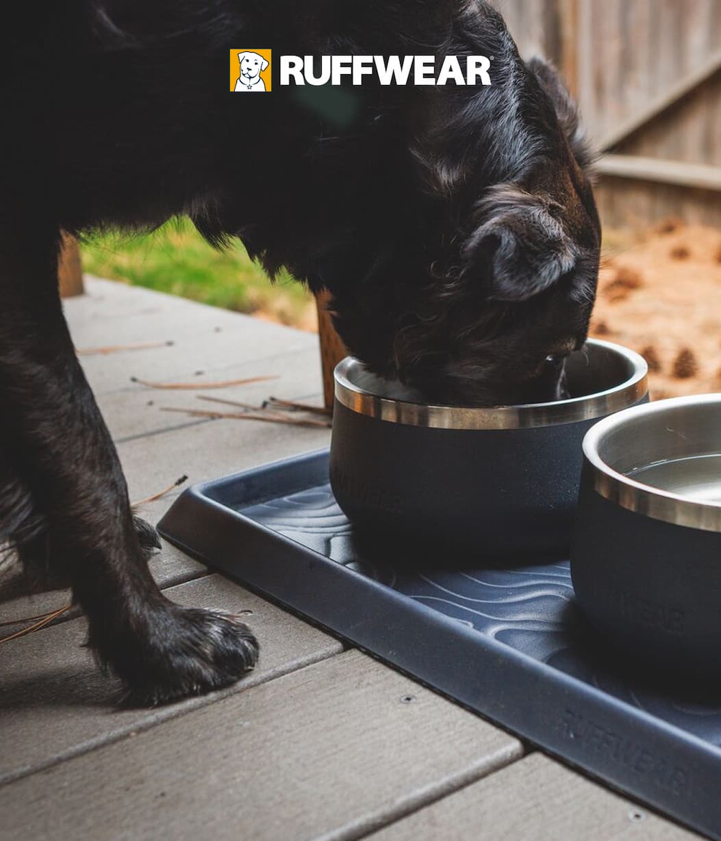 Our Basecamp™ Bowl is now available in small!