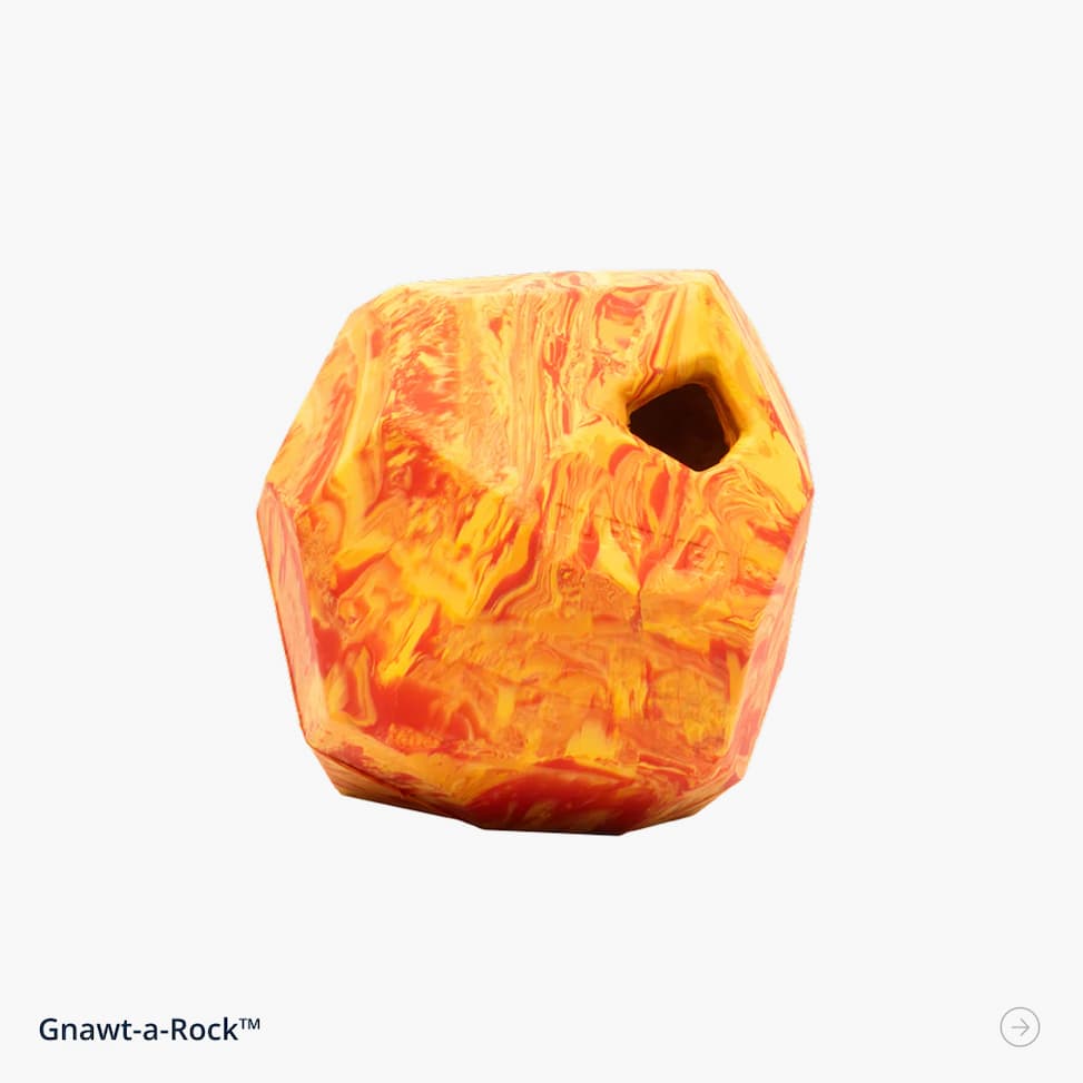 Gnawt-a-Rock™ in Salamander Orange