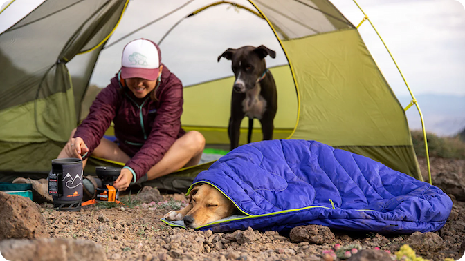 A dog snoozes in a Highlands Sleeping Bag outside the tent.