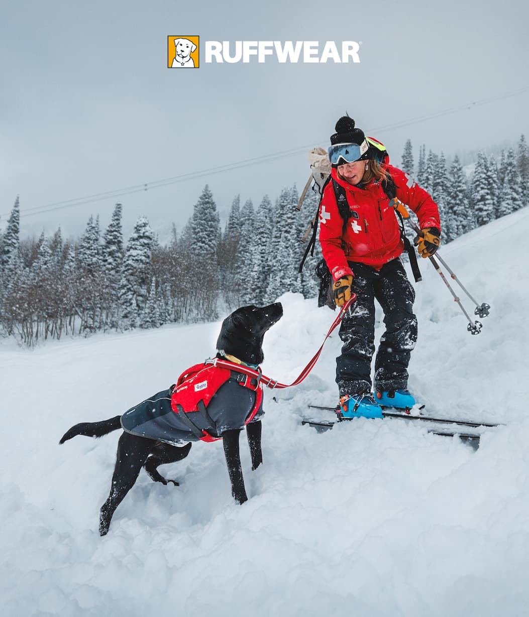 An Avy Dog and their handler get ready for work in the snow.