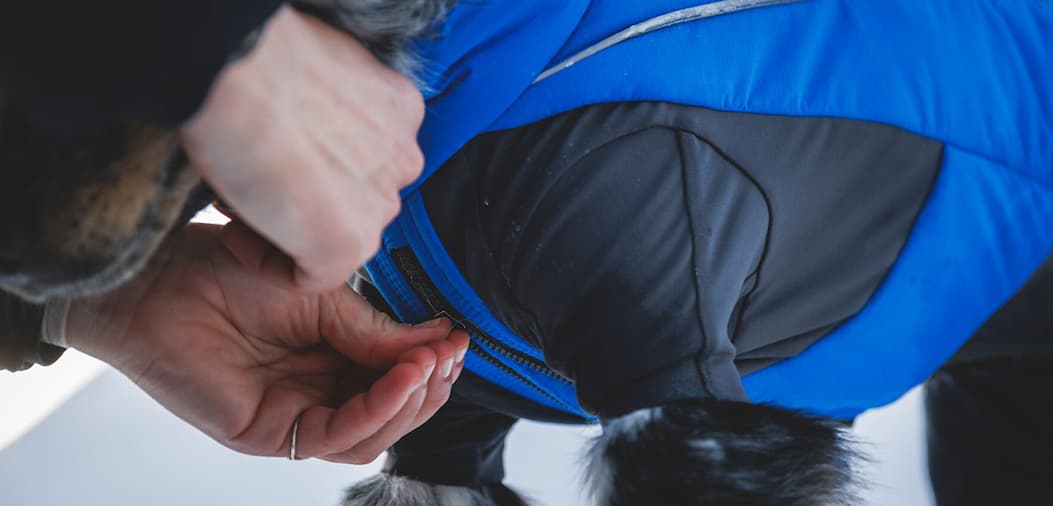 A human zips up a Vert™ Coverall on their pup
