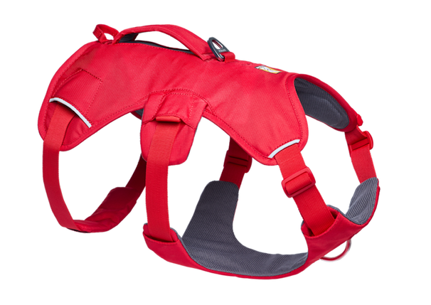Knot-a-Collar™ Rope Dog Collar