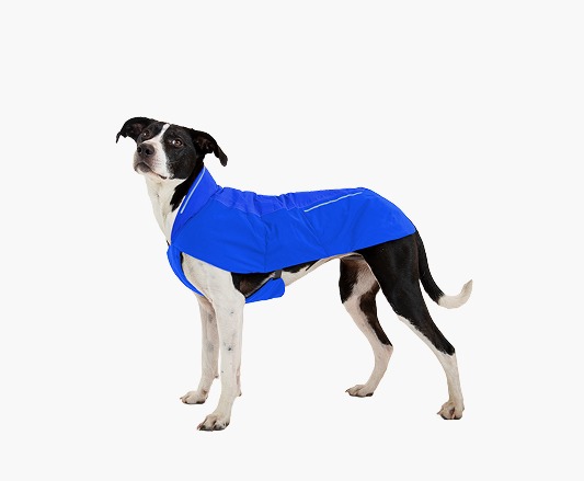 The Vert™ Vest in Blue Pool