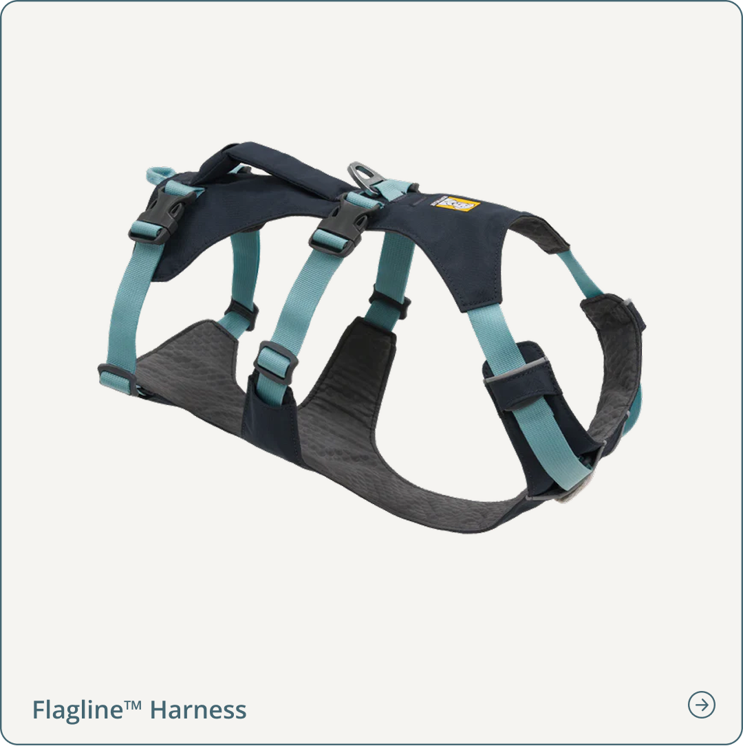 Flagline™ Dog Harness with Handle in Basalt Grey